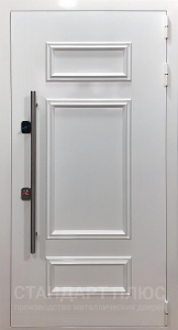 Стальная дверь Металлобагет №26 с отделкой Порошковое напыление