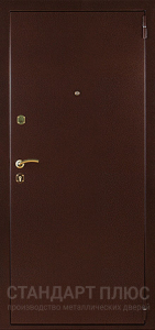 Стальная дверь С зеркалом №66 с отделкой Порошковое напыление